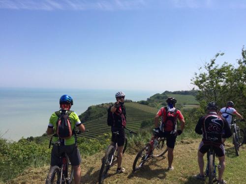 Hotel Alexander - image 7