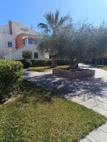 Apartment with Terrace image 1