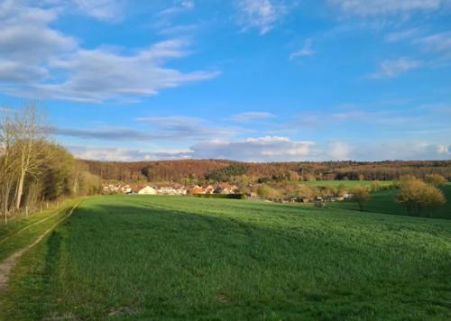 Casa Linda, luxuriose Ferienwohnung im Grunen in Ober-Ramstadt