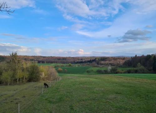Casa Linda, luxuriose Ferienwohnung im Grunen in Ober-Ramstadt