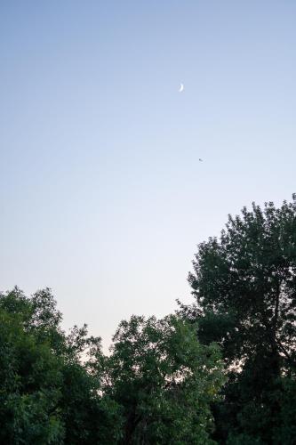 Beijing Le Zai Nan Luo Gu Xiang Wang Fu Jing Forbidden City Courtyard Hotel&Free laundry service&Free coffee &Paid Dumpling experience service