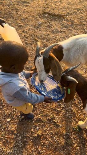 Serenity Farm House Serenity Farm House