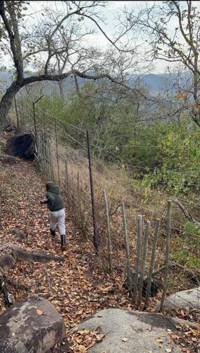 Serenity Farm House Serenity Farm House