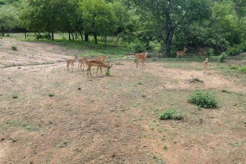 Serenity Farm House Serenity Farm House