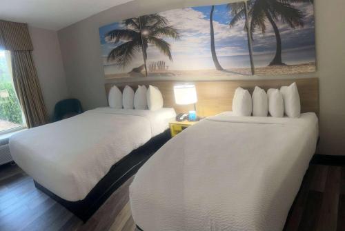 2 queen beds