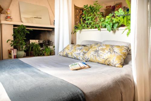 Botanica - Apartment - Calcata