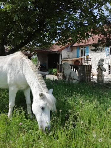 gîte des 2 Lions (gite des 2 Lions) in Champagneux ciems