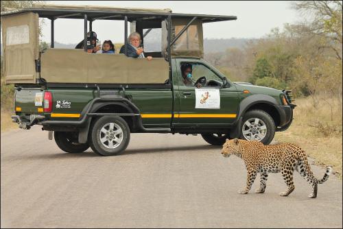 Sabie River Bush Lodge