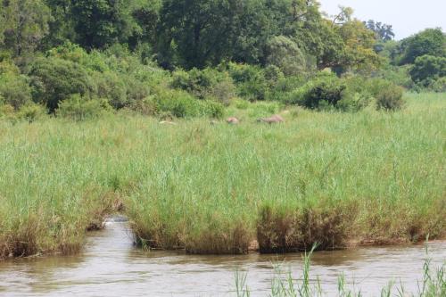 Sabie River Bush Lodge