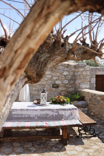 Dārzs, LITHOS TRADITIONAL TOWER in Omales