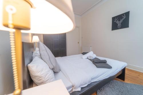 Large City Corner Apartment, Edinburgh (fotografie 2)