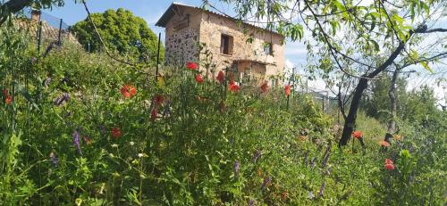 Gîte Studio Saint Ribert