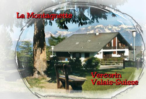La Montagnette, VERCORIN - Apartment - Vercorin