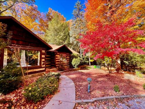 Log Cabin - Natures Oasis - Fire Pit & Gazebo