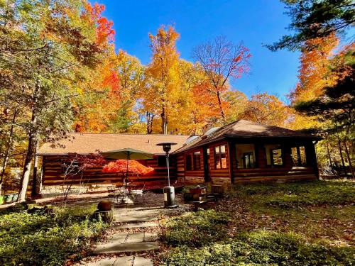 Log Cabin - Natures Oasis - Fire Pit & Gazebo