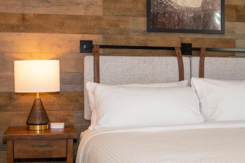 海鸥湖旅舍 海鸥湖旅舍