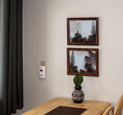 海鸥湖旅舍 海鸥湖旅舍