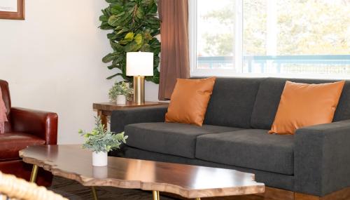 海鸥湖旅舍 海鸥湖旅舍