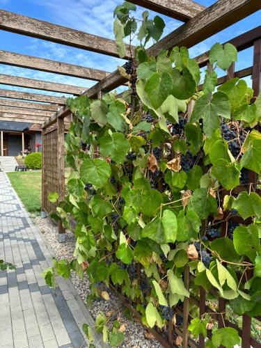 Rajska Przystań II Rajska Przystań II