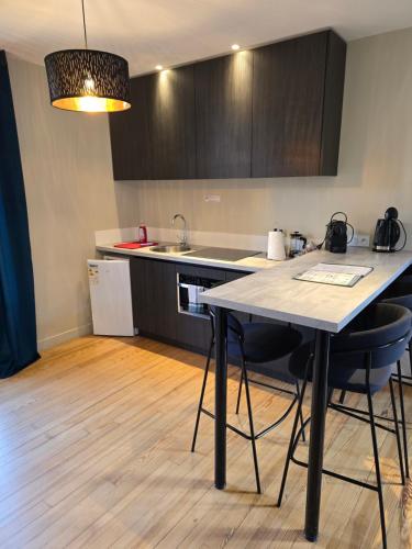 Au Loup Historic Apartments - 주방