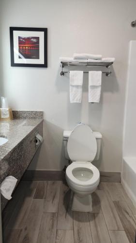 Americas Best Value Inn & Suites-Foley - image 5