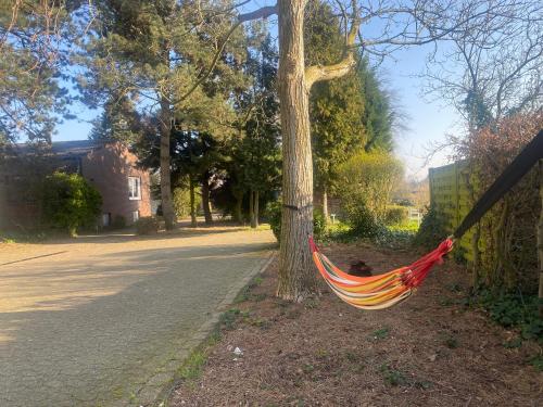 Hübsches Cottage in ehemaliger Gärtnerei Hübsches Cottage in ehemaliger Gärtnerei