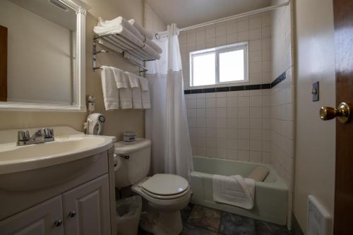 海鸥湖旅舍 海鸥湖旅舍