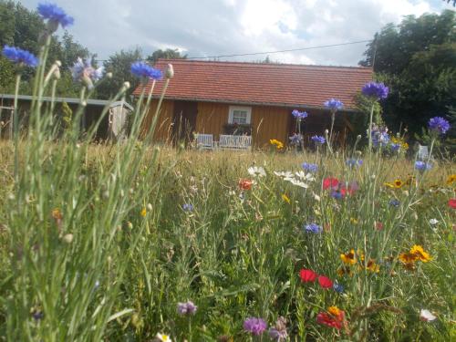 Ferienwohnung Hockert