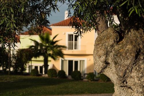 Eden Resort - image 13