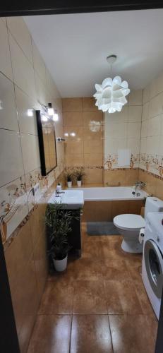 Apartment with Balcony image 10