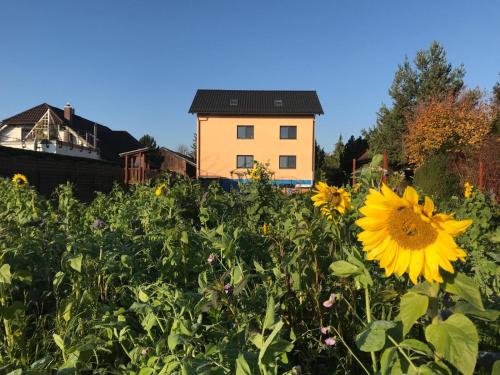 Stadt. Land. See. Ferienwohnung Leipzig