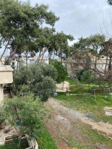 2 bedrooms, 5 beds