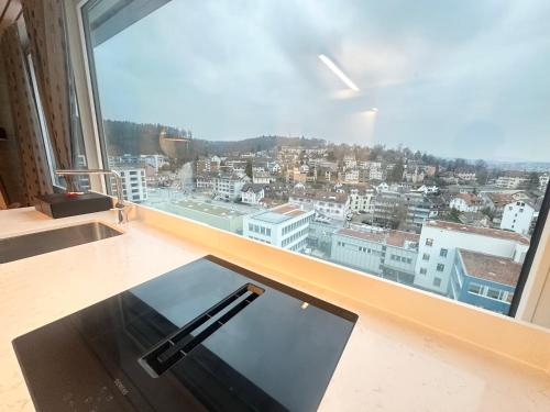 MydiHei @ Rhyfall Towers in Schaffhausen