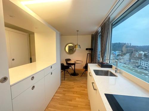 MydiHei @ Rhyfall Towers in Schaffhausen