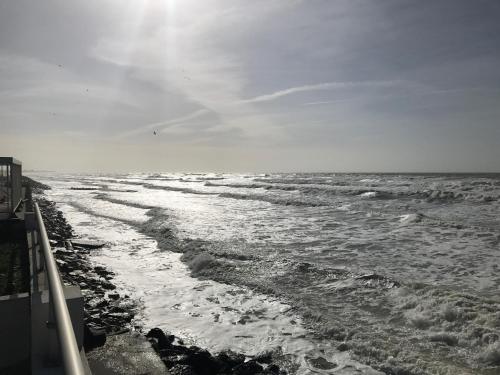 Petale de Rose, Dunes 3