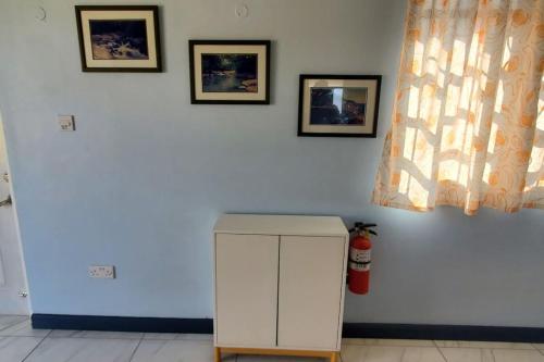 28 Steber, Roseau (photo 6)