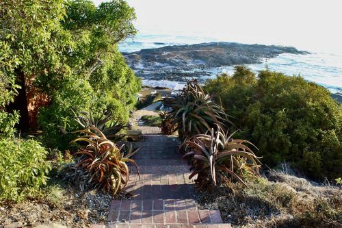 Rees Cottage, Yzerfontein (fotografie 4)