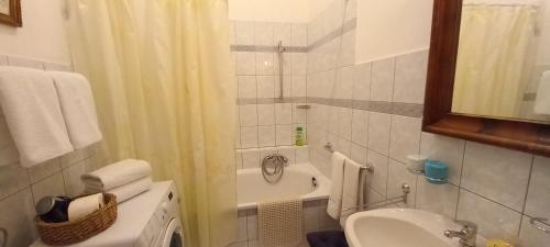 Danube river view close to Parlament - image 6