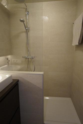 One-Bedroom Apartment (5 Adults) image 8