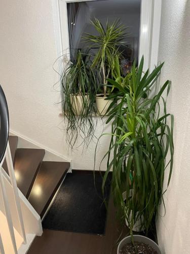 1 WG Zimmer (Apartment) im Dachgeschoss in 70839 Gerlingen in Gerlingen, Deutschland