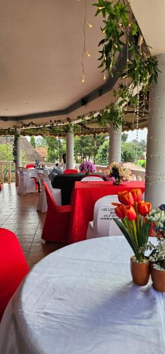 Bar/salonek, Northern Pearl in Gulu