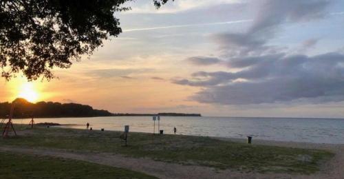 Krähennest am Strand - ABC52