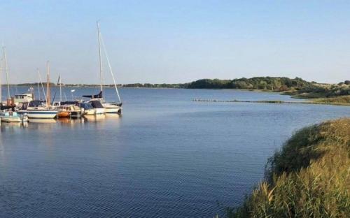 Krähennest am Strand - ABC52