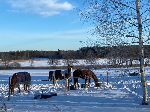 Ulvsby Ranch