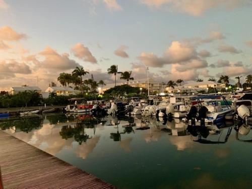 Studio Marina Albatros in Saint Francois