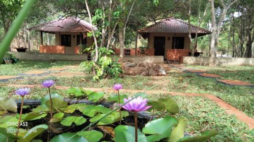 Niyagala Lodge