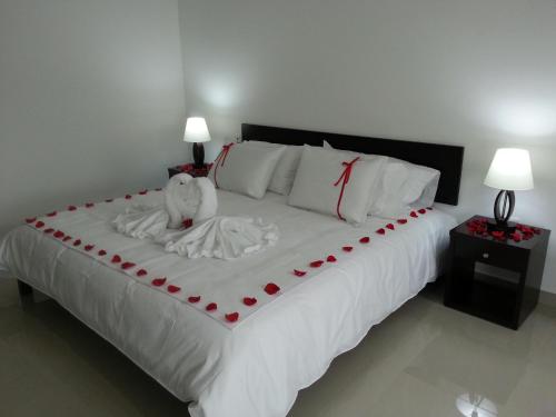 Hotel Casa de David WMD