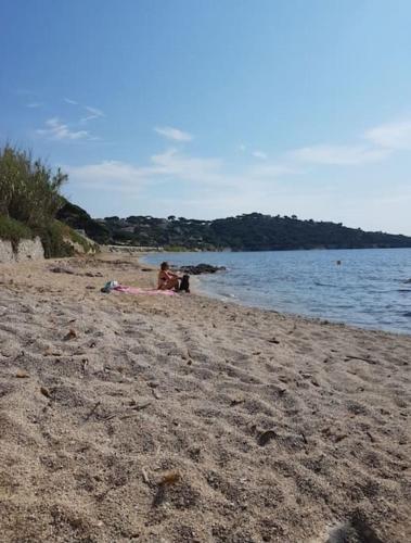 Appartement superbe vue en bord de mer et piscine