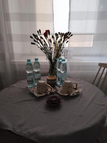 Apartament - Mieszkanie Samodzielne, Inowrocław (foto 9)