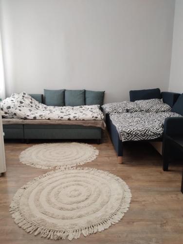 Apartament - Mieszkanie Samodzielne, Inowrocław (foto 4)